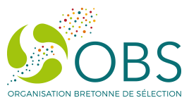 OBS Organisation Bretonne de Sélection