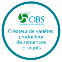 obs-presentation-createur-de-varietes-producteur-de-semences-de-plants